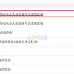 证券资格考试成绩查询,快速获取您的考试成绩