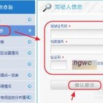 驾驶员积分查询,查询方式、记分周期与清分时间