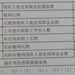 残疾人保障金会计分录,残疾人保障金会计分录解析与应用