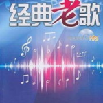 经典老歌 mp3,经典老歌mp3的魅力与传承