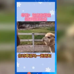 娱乐吃瓜宣传片,揭秘娱乐圈幕后故事