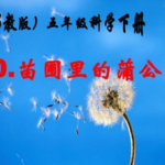 蒲公英教案,寓教于乐的生态教育之旅