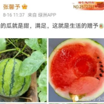 吃瓜娱乐圈瓜,揭秘明星们的甜蜜与苦涩瓜