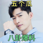 娱乐圈吃瓜明星有哪些,揭秘那些年我们追过的热点事件