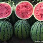 吃瓜娱乐如果星星不说话,揭秘娱乐圈不为人知的幕后故事