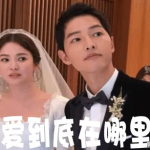 娱乐圈吃瓜事件合集,揭秘年度十大吃瓜事件